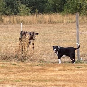 Meet your Posher, Donna